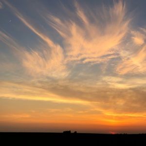 Meet your Posher, Breeanna